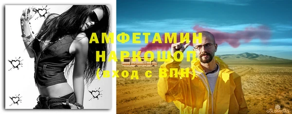 амф Дмитриев