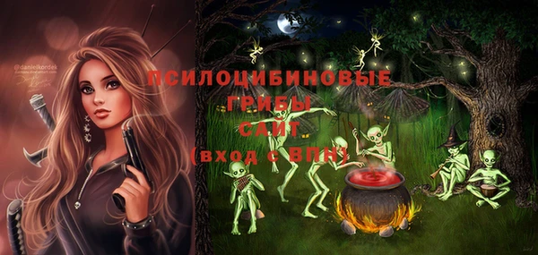 спиды Гусь-Хрустальный
