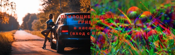 метадон Дмитров